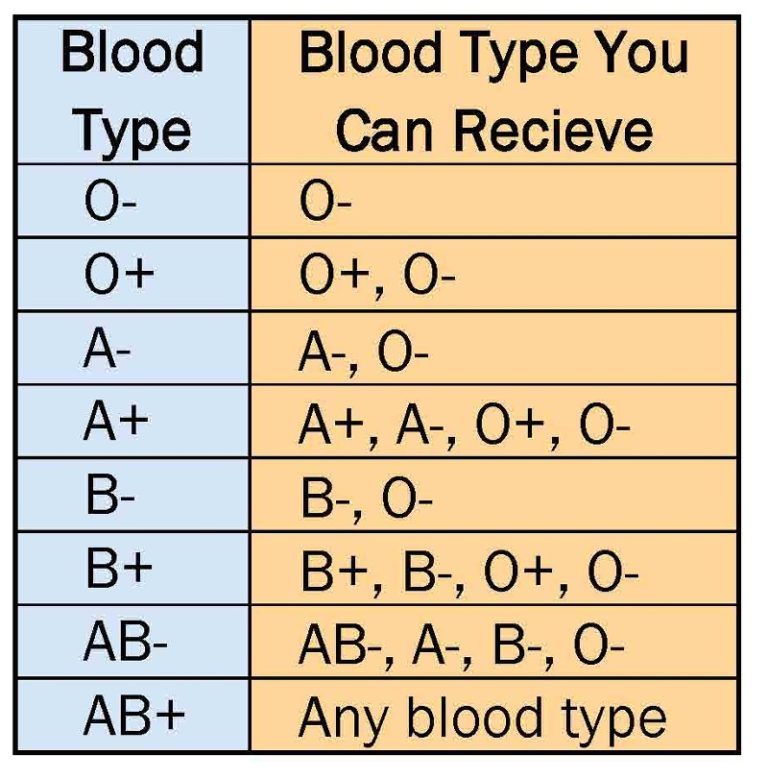 About Blood | NCH Healthcare System