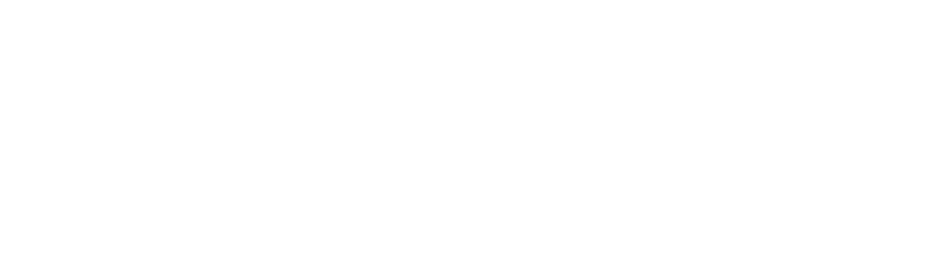 HSS at NCH Logo White cropped