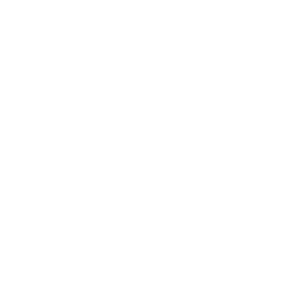 Rooney Heart Institute Logo Summit